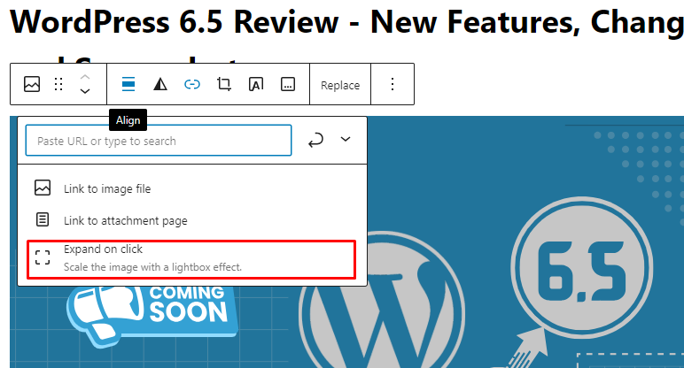 Lightbox Functionality- WordPress 6.5