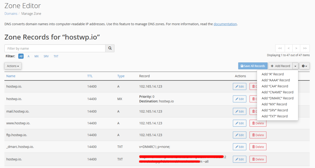 The Ultimate Guide to Domain & DNS Management 3 Advanced DNS Management (Zone Editor)