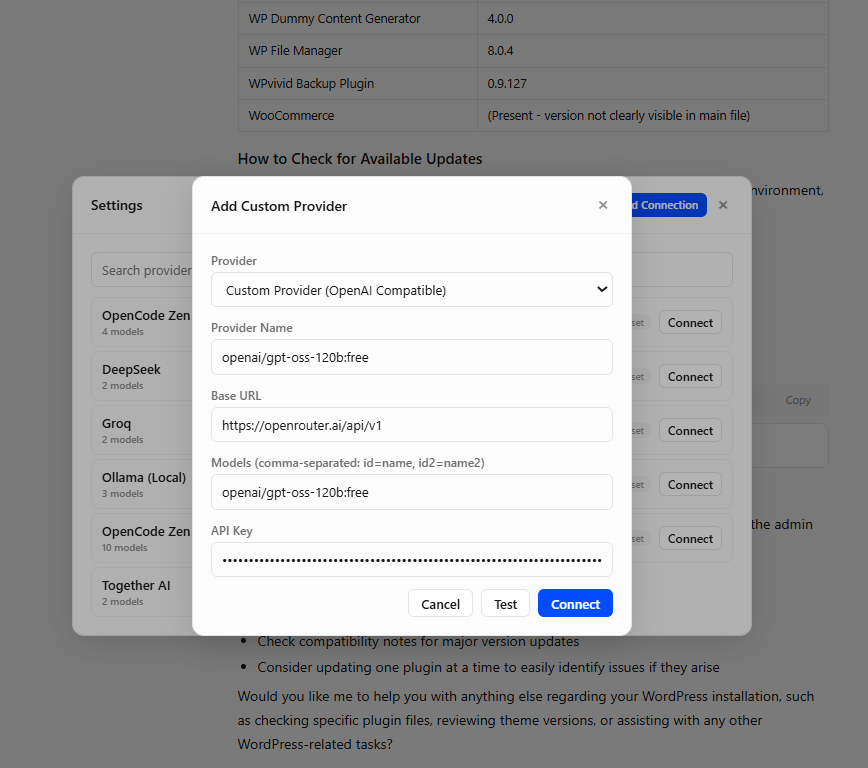 Add Connection - Custom Provider - Code with AI