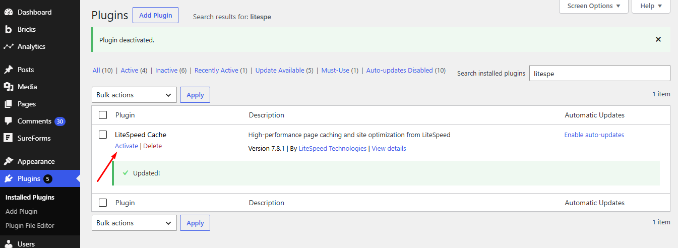 LiteSpeed Activation