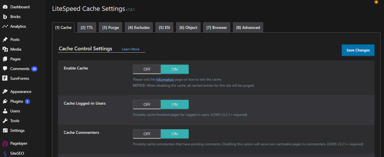 LiteSpeed Cache Setting